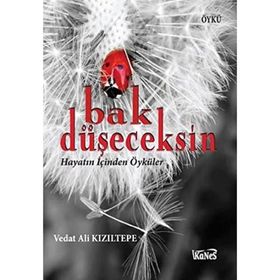 BAK DÜŞECEKSİN HAYATIN İÇİNDEN ÖYKÜLER - VEDAT ALI KIZILTEPE