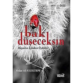 BAK DÜŞECEKSİN HAYATIN İÇİNDEN ÖYKÜLER - VEDAT ALI KIZILTEPE