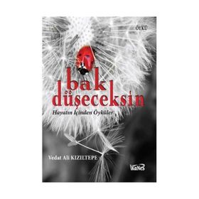 BAK DÜŞECEKSİN HAYATIN İÇİNDEN ÖYKÜLER - VEDAT ALI KIZILTEPE