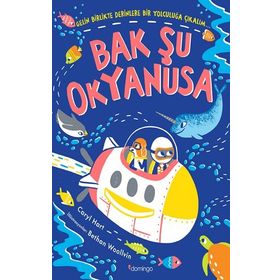 Bak Şu Okyanusa - Domingo Yayınevi