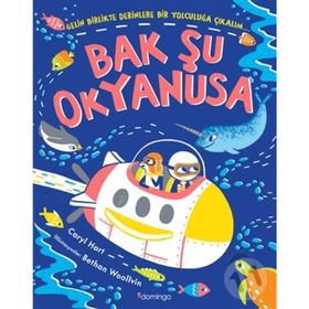 Bak Şu Okyanusa - Domingo Yayınevi