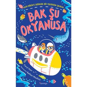 Bak Şu Okyanusa - Domingo Yayınevi