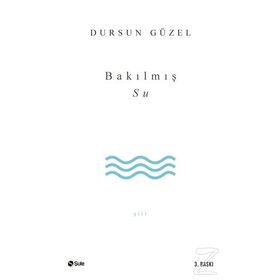 BAKILMIŞ SU - DURSUN GÜZEL