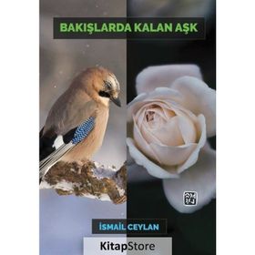 Bakışlarda Kalan Aşk - İsmail Ceylan