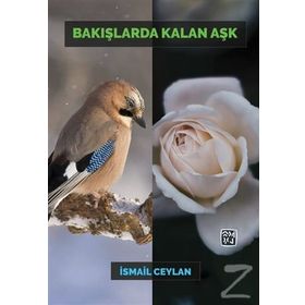 Bakışlarda Kalan Aşk - İsmail Ceylan