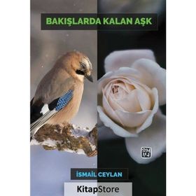 Bakışlarda Kalan Aşk - İsmail Ceylan