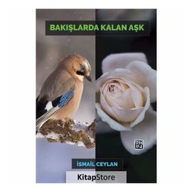 Bakışlarda Kalan Aşk - İsmail Ceylan
