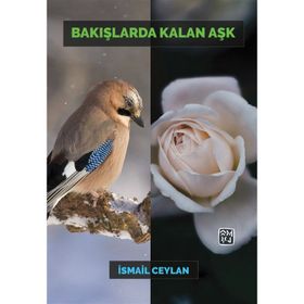 Bakışlarda Kalan Aşk - İsmail Ceylan
