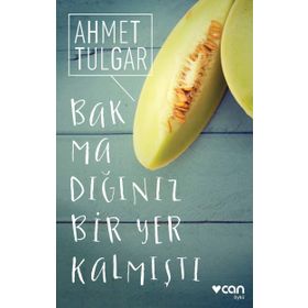 Bakmadığınız Bir Yer Kalmıştı - Ahmet Tulgar