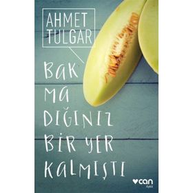 Bakmadığınız Bir Yer Kalmıştı - Ahmet Tulgar