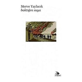 Baktığın Suya - Merve Yaylacık