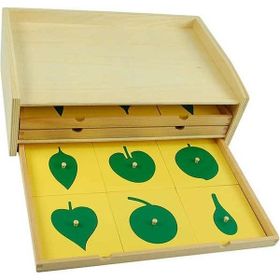 Balatoyz Montessori Sarı Yaprak Kartları