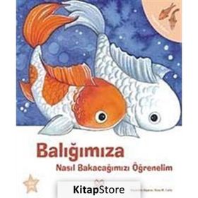 BALIĞIMIZA NASIL BAKACAĞIMIZI ÖĞRENELIM - GENEL