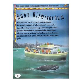 Balinalar Şarkı Söyleyebilir - Bunu Bilmiyordum - Kollektif