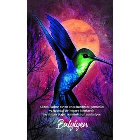 Balyiyen Şaman Defterleri Gece Kitaplığı