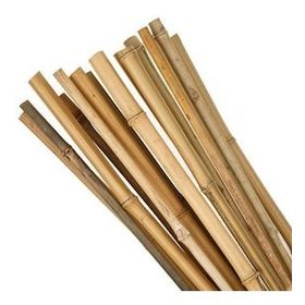Bambu 180 cm 10 Adet Bitki Destek Sopası