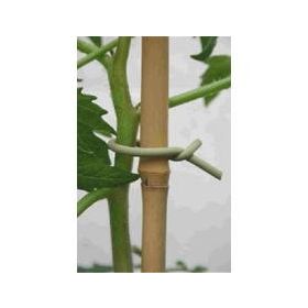 Bambu 180 cm 10 Adet Bitki Destek Sopası