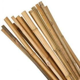 Bambu 180 cm 10 Adet Bitki Destek Sopası