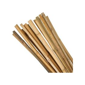Bambu 180 cm 10 Adet Bitki Destek Sopası