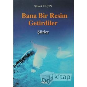 Bana Bir Resim Getirdiler - Şükrü Elçin