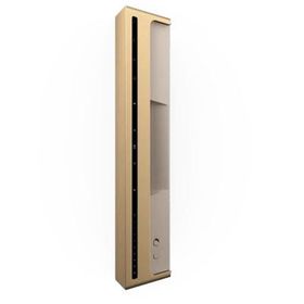 Bang & Olufsen Beosound Level Altın-Meşe Ağacı Taşınabilir Multiroom Kablosuz Hoparlör