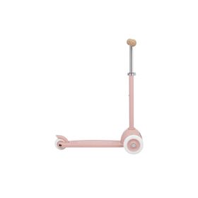 Banwood Eco Gül Kurusu Scooter