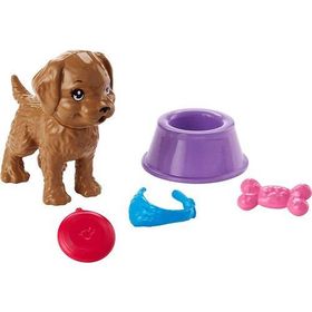 Barbie FJD56-FHY70 Hayatından Eğlenceli Aksesuarlar