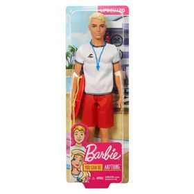 Barbie FXP01-FXP04 Ken Kariyer Bebekleri