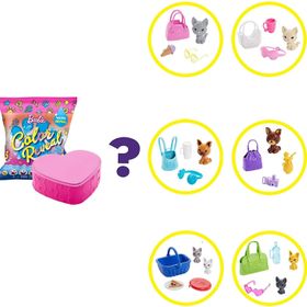 Barbie GPD25 Color Reveal Süprüz Hayvanlar Serisi