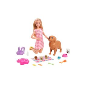 Barbie HCK75 Hayvan Dostları