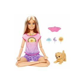 Barbie HHX64 Meditasyon Yapıyor Oyun Seti