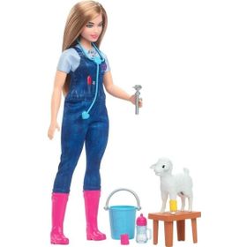 Barbie HRG42 Deluxe Veteriner Kariyer Bebek