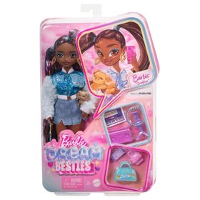 Barbie HYC22 Dream Besties Brooklyn Aksesuarlı Bebek