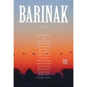 Barınak - Nazım Köyce