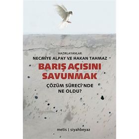 Barış Açısını Savunmak - Necmiye Alpay