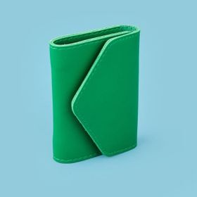 Barnaby 7x11 cm Yeşil Yatay Akordiyon PVC Kartlık