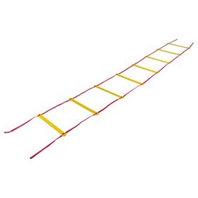Barrett Art SL4LP 4 Metre Düz Antrenman Merdiveni