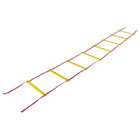 Barrett Art SL4LP 4 Metre Düz Antrenman Merdiveni