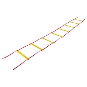 Barrett Art SL4LP 4 Metre Düz Antrenman Merdiveni