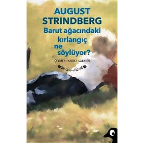 Barut Ağacındaki Kırlangıç Ne Söylüyor? - Auguste Strindberg