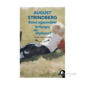 Barut Ağacındaki Kırlangıç Ne Söylüyor? - Auguste Strindberg