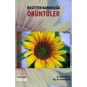 BASITTEN KARMAŞIĞA ÖRÜNTÜLER - SINAN OLKUN;DILEK TANIŞLI