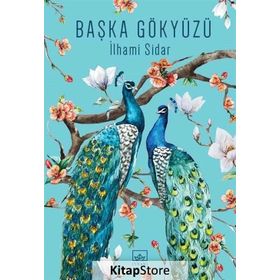Başka Gökyüzü - İlhami Sidar