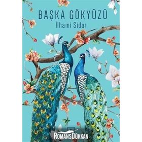 Başka Gökyüzü - İlhami Sidar