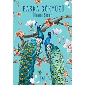 Başka Gökyüzü - İlhami Sidar