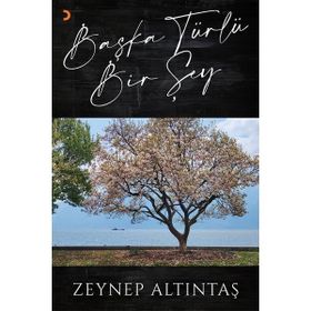 Başka Türlü Bir Şey - Zeynep Altıntaş