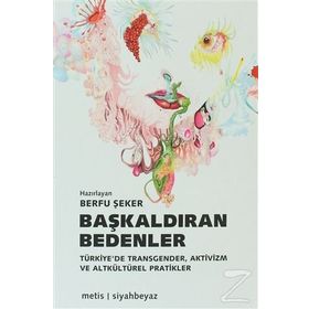 BAŞKALDIRAN BEDENLER TÜRKIYE'DE TRANSGENDER, AKTIVIZM VE ALTKÜLTÜREL PRATIKLER - BERFU ŞEKER