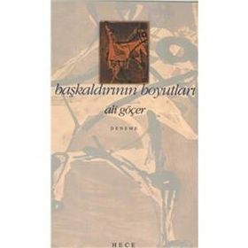 BAŞKALDIRININ BOYUTLARI - ALI GÖÇER