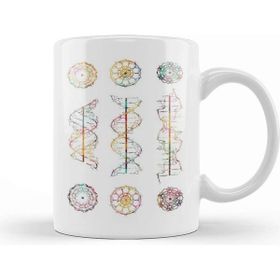 Baskı Dükkanı A B and Z Dna Kupa