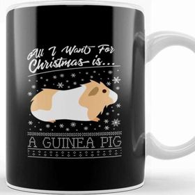 Baskı Dükkanı All I Want for Christmas is a Guinea Pig Knit Pattern Kupa